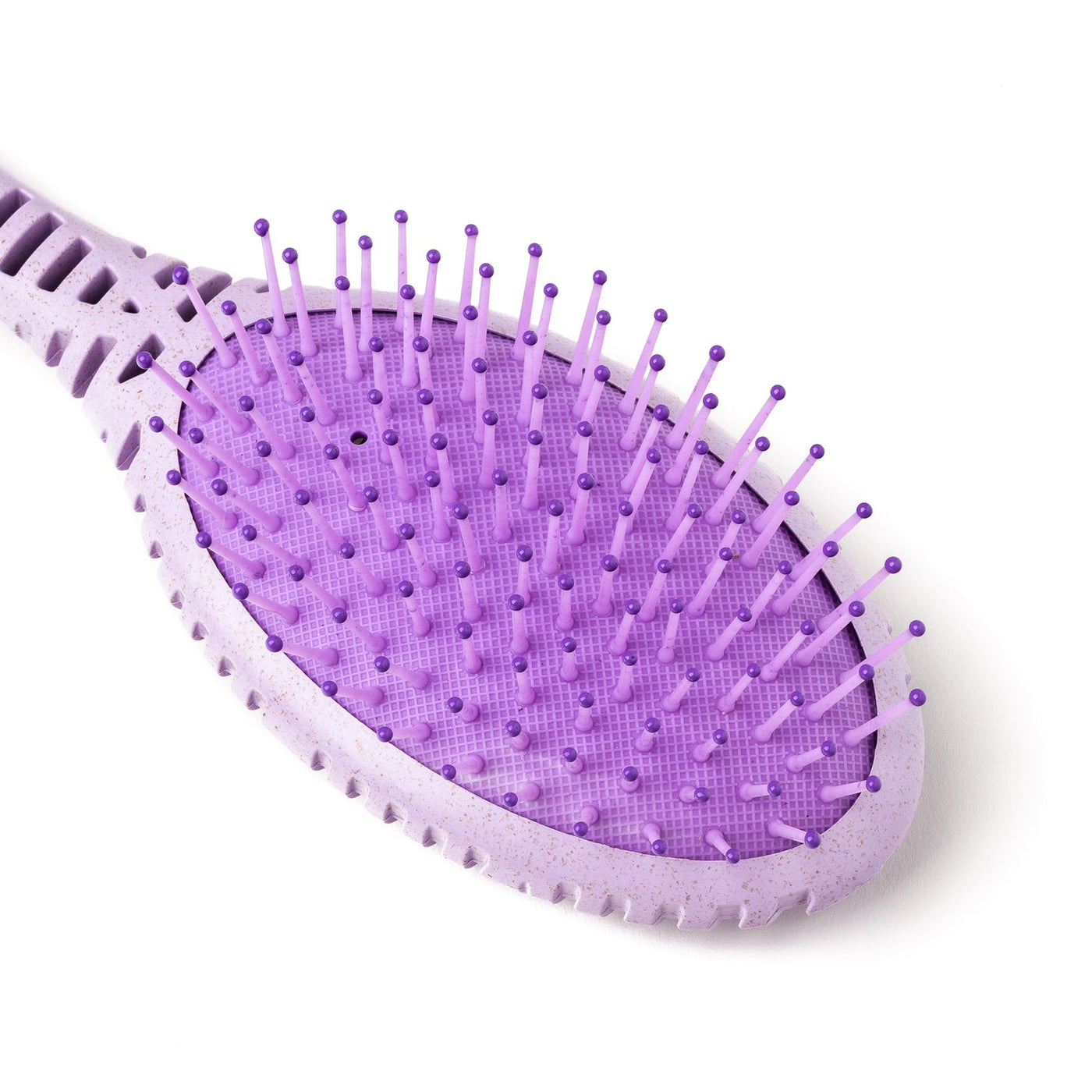 Eco-Friendly Detangling Brush | Coconut Husk Handle | Glister